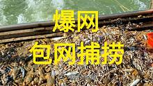 吴正华大哥包大型渔船出海捕捞，收网后船上全是海货，爆网了