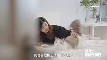 进化与时代同行：养猫的好处有哪些