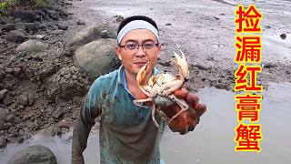 4个老赶海人都没发现的螃蟹洞，渔夫捡漏挖出红膏蟹，太难得了
