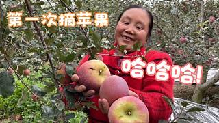 先峰妈妈第一次摘苹果，全程小心翼翼，还体验了城边农村生活