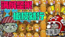 植物大战僵尸：面对全屏坚果的“坚果阵”！一个橄榄就够了！