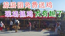 夕阳红旅游团又出新招数了？免费送走地鸡！费用谁来出？什么套路