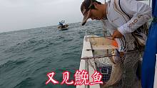 10多条快艇聚集鮸鱼钓点，好久不见的鮸鱼终于又来了，实力大比拼