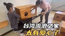 台湾流浪之家太有爱心了，他们是怎么做的