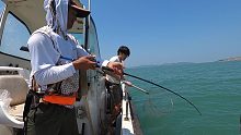 网友第一次海钓，短裤短袖硬扛30度高温，上鱼瞬间让他们忘记所有