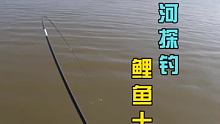 野钓鲤鱼又爆护了呀
