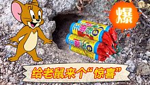 塞一捆炮进鼠洞，给它来个“惊喜”