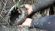 荒废多年的鱼塘，小伙发现一个洞，估计有黄鳝，挖开却不是黄鳝
