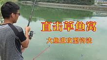大鱼进攻型钓法直击草鱼窝，大草鱼一条接一条钓友看傻了