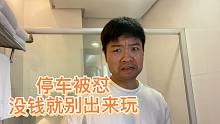 达文西自驾游被骂“没钱就不要出来玩”，感觉受到一万点伤害