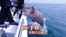 应粉丝邀约，赴台湾海峡手动挑战大石斑！