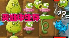 植物大战僵尸：大嘴绿了？最惨竟是小鬼头，夹缝中生存！