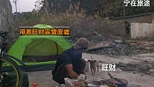 骑行带着旺财露营废墟，旺财挣脱跑了，我以为…