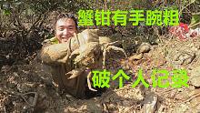 小伙1个人狂挖2个小时，挖出大青蟹蟹钳有手腕粗，直呼破个人记录