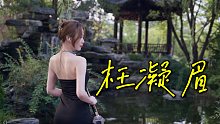 【二胡】枉凝眉+葬花吟，如泣如诉，如怨如慕。