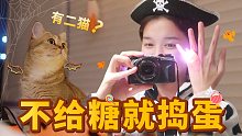 【echo】小猫咪万圣！不给罐头就捣蛋！