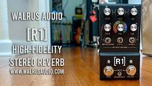 Walrus Audio R1 立体声混响单块音色试听