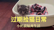过期捡猫日常/刚捡到猫的那几天，小流浪猫的室内隔离生活