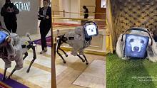 价值200万的机器狗，在危险环境下执行任务！