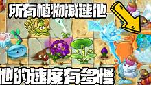 植物大战僵尸：所有减速植物给僵尸减速！两分钟走不出一个格子？