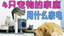 四只宠物的铲屎官都用什么家电 用了三年分享心得