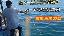 台风刚过彪哥就出来捕鱼了，换了一个海岛围岛放网，看能不能发财