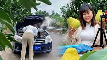 求助！邬小妹的车冒烟了还能开多久？柚子卖得好，但老车不争气
