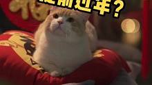 带入感很强，我已经开始过年了#猫 #可爱 #治愈