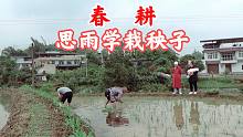 春耕是快乐的。思雨跟着老爸学栽秧子，大家看他栽的好不好啊