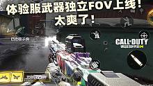 体验服武器独立FOV上线！太爽了！【使命召唤手游】