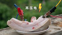 给一块肥猪肉通上高压电，猪肉直接被烤得流油！