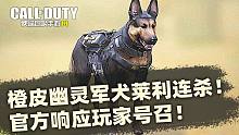 橙皮幽灵军犬莱利连杀展示！官方响应玩家号召！【使命召唤手游】