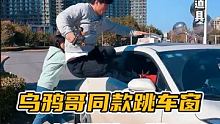这一跳损失大几百#如此极限 #成龙大哥来了 #乌鸦哥 跳车窗