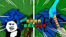 阿涵说：盘点我的世界“最真实的操作”竟然有那么多奇葩事情？
