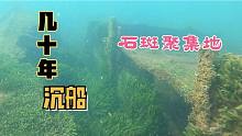 几十年前的沉船曾经的石斑聚集地，如今只剩孤独的残骸留在大海中