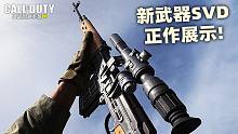 体验服新武器SVD正作展示！来自COD16！【使命召唤手游】