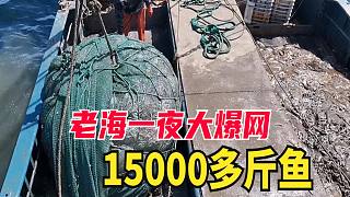 老海新渔区干出大爆网，大货把海水弄得浑浊，15000多斤鱼赚得太爽了
