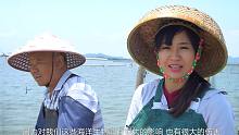 赶海收获为什么越来越少，阿渔妹说出实话，答案让人难以接受