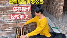 新手养蜂会遇到的问题，蜜蜂乱造脾起坠脾？小伙教你3分钟解决