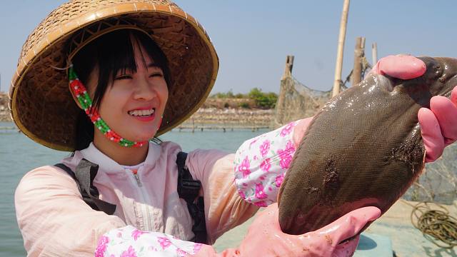 阿渔妹赶海收获罕见大鱼,一笼海货让她想起初恋男友,心都开了花