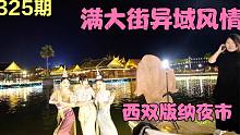 西双版纳告庄夜市太热闹，逛吃当地风味，满大街都是异域风情，第325期