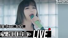 朴春《Do Re Mi Fa Sol》LIVE