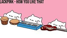 【喵喵版】BLACKPINK - How You Like That