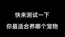 原来我适合养柯基