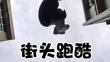 #街头跑酷 #热爱快手  #今天玩的开心  @跑酷云海(O3xdbefgrh3djmpm)
