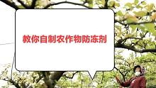 农作物防冻剂根本不用买，花几块钱就能自行配制，效果比买的还好