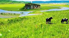看我的作品，每天都能治愈好心情。#美丽的草原我的家  #蓝蓝的天上白云飘