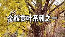 关注我，带你看遍青岛的野山野水