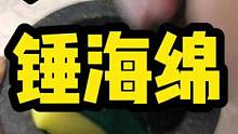 呀呀呀，锤个海绵！#极度舒适