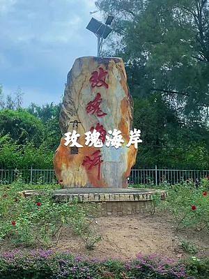 #帶你去看海 #深圳 #玫瑰海岸 在深圳一百對(duì)新婚夫妻就有九十多對(duì)來(lái)過這里拍婚紗的地方，你來(lái)過嗎#旅